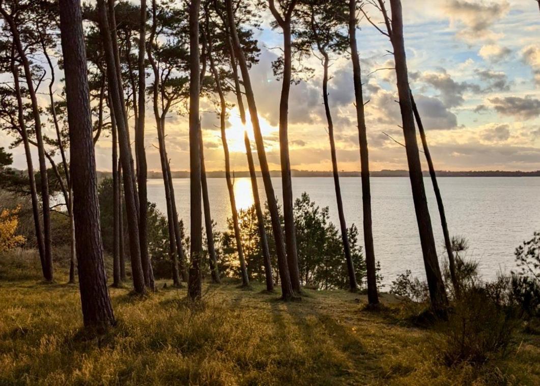 Tallskog - Dein Am Naturstrand Hohen Wieschendorf