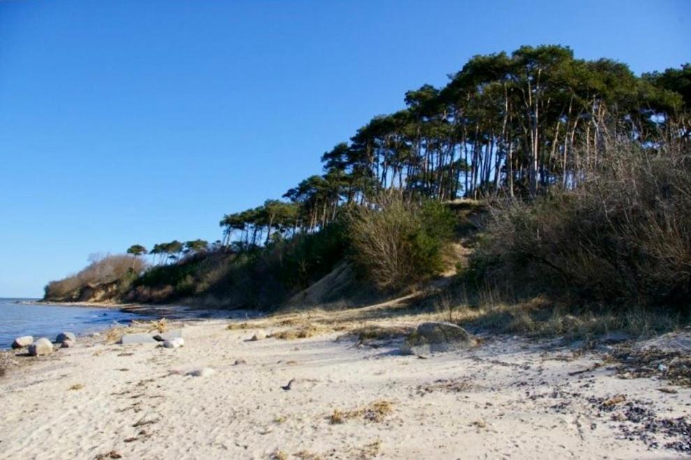 Tallskog - Dein Am Naturstrand Hohen Wieschendorf * Hohenkirchen (Nordwestmecklenburg)