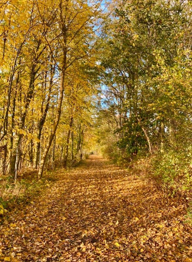 Tallskog - Dein Am Naturstrand Hohen Wieschendorf * Hohenkirchen (Nordwestmecklenburg)